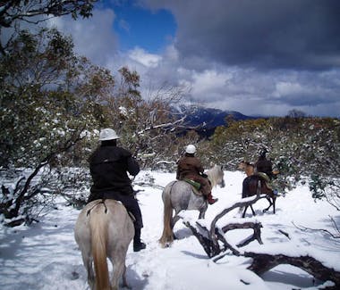 Take a Horse Ride with Mountain Valley Trail rides