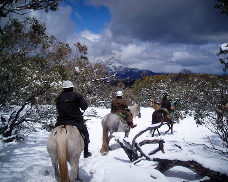 Take a Horse Ride with Mountain Valley Trail rides