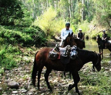 High Country Trail Rides through Delatite River