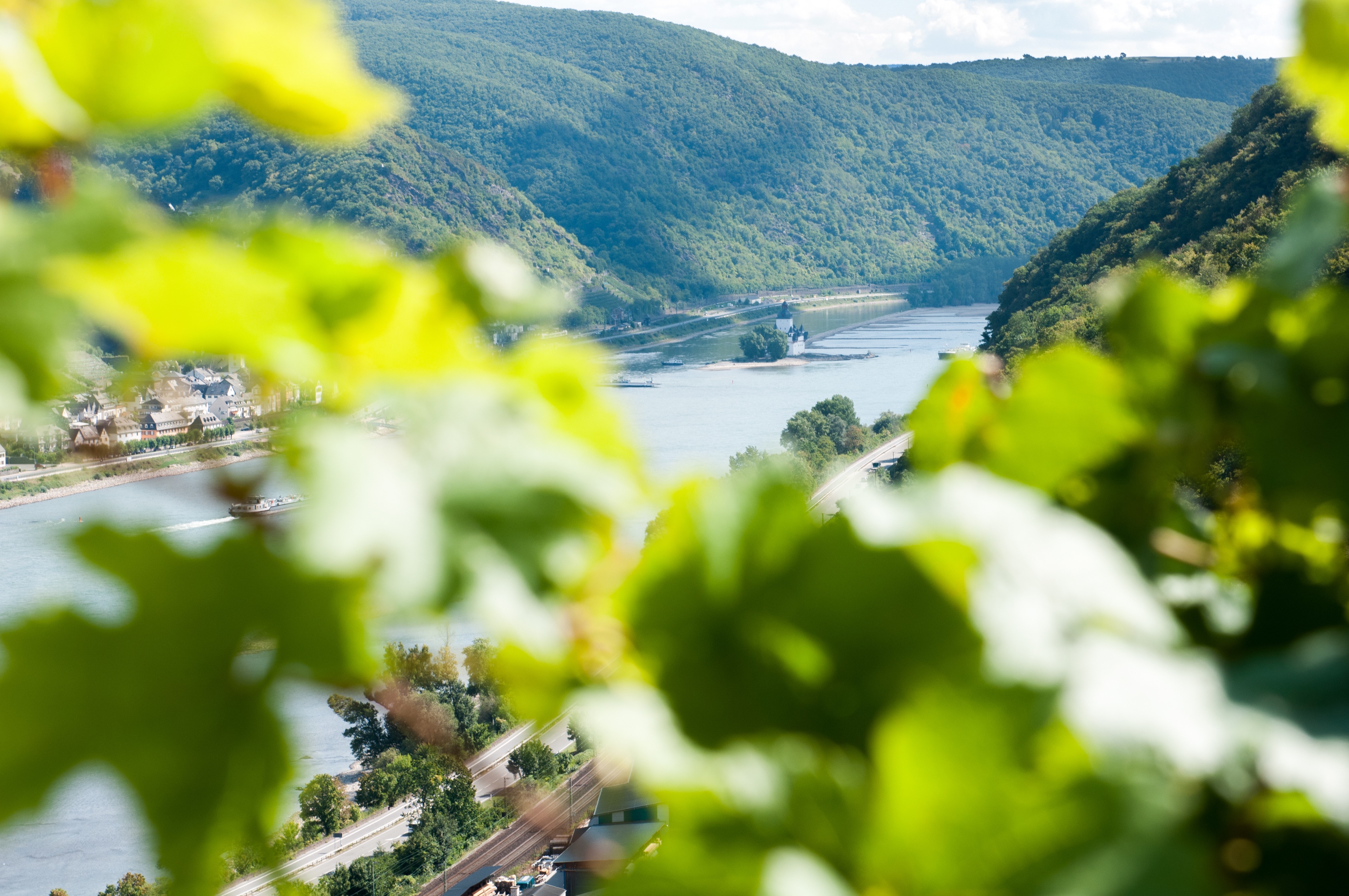Zollburg Pfalzgrafenstein im Rhein