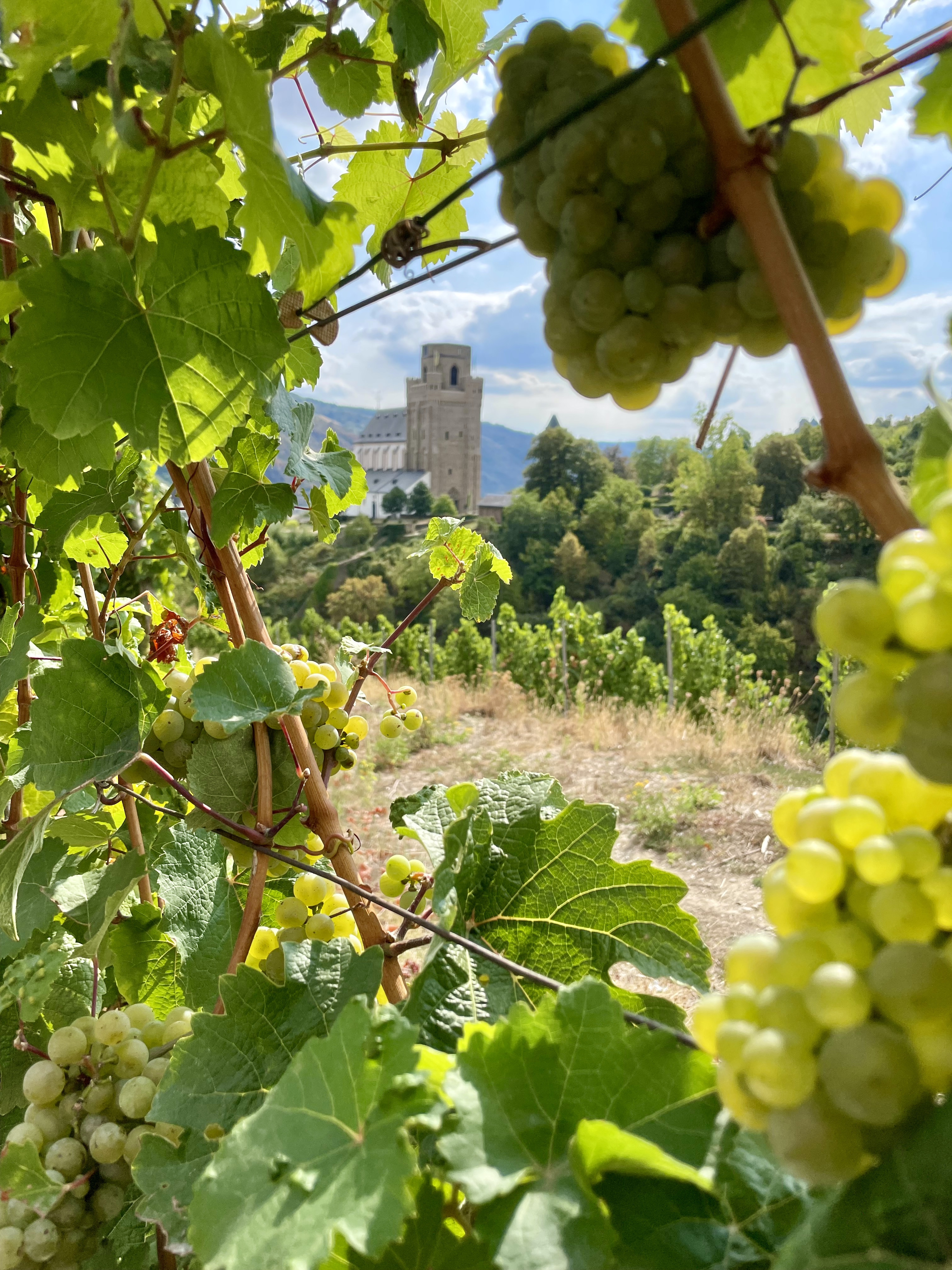 Hauptseite | Hotel Gasthaus Weingut Stahl