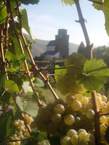 St. Martin in Oberwesel im Herbst