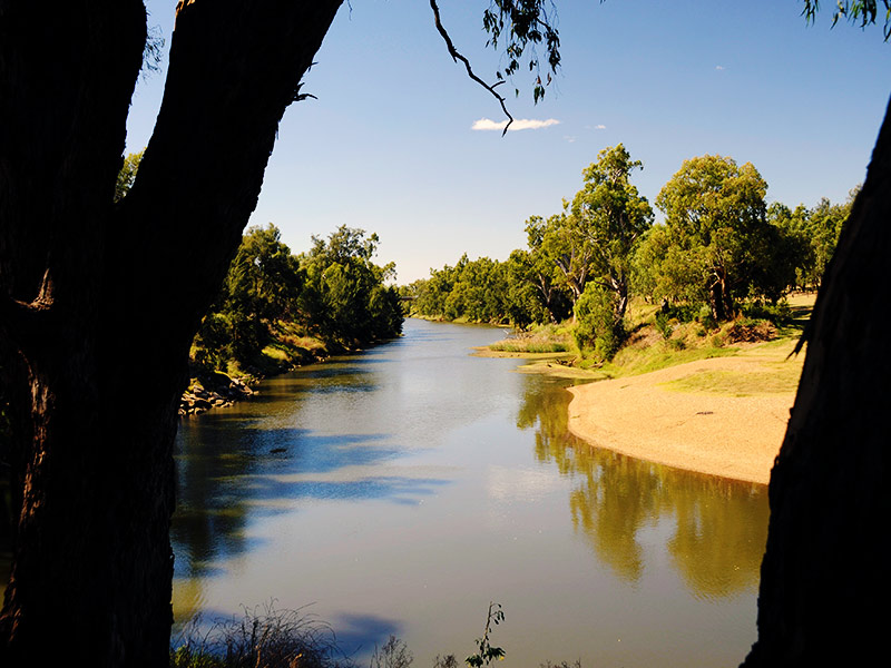 Sandy Beach - A great place for a picnic, swimming, fishing and canoeing. Right in the heart of Dubbo.