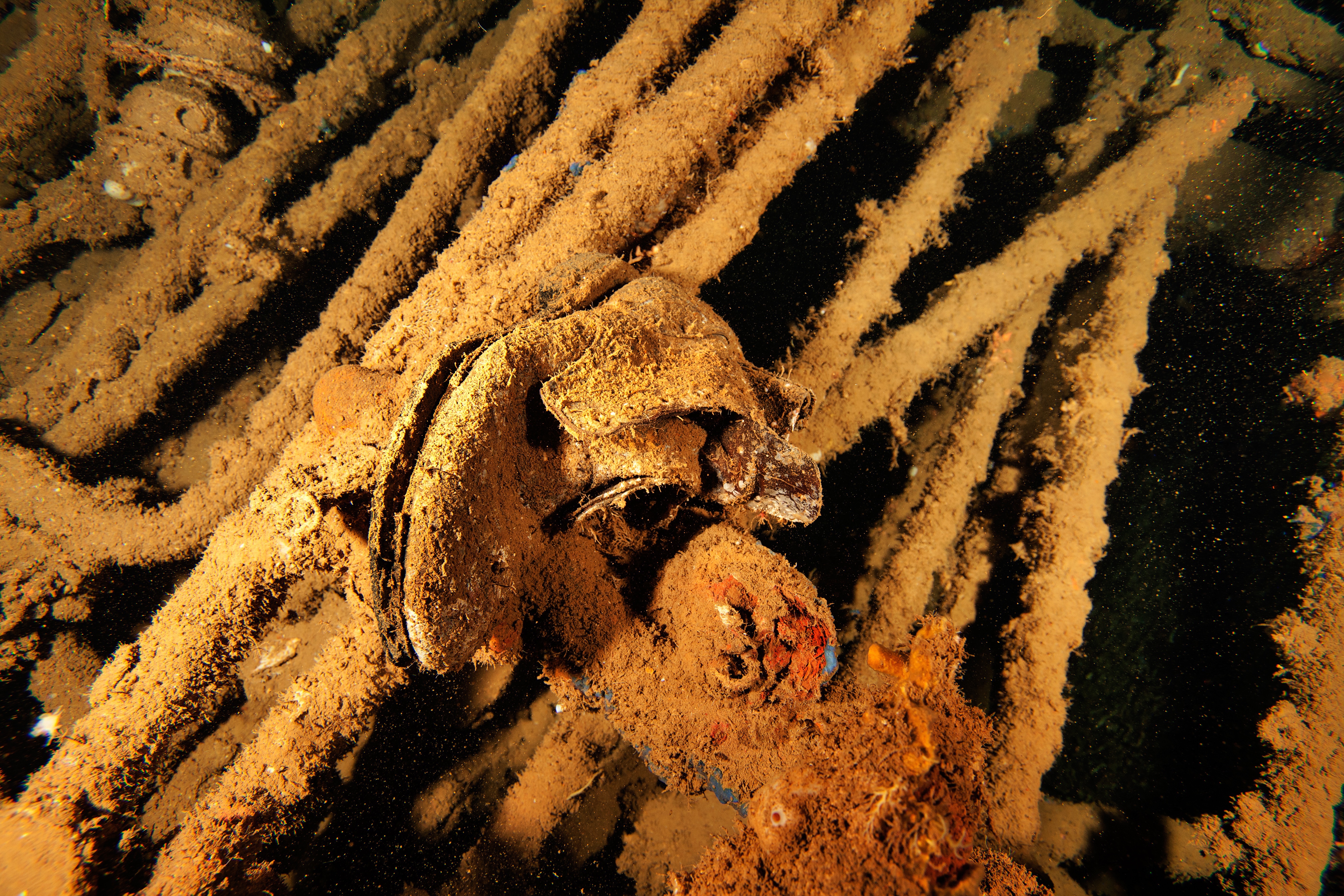 Diving the President Coolidge