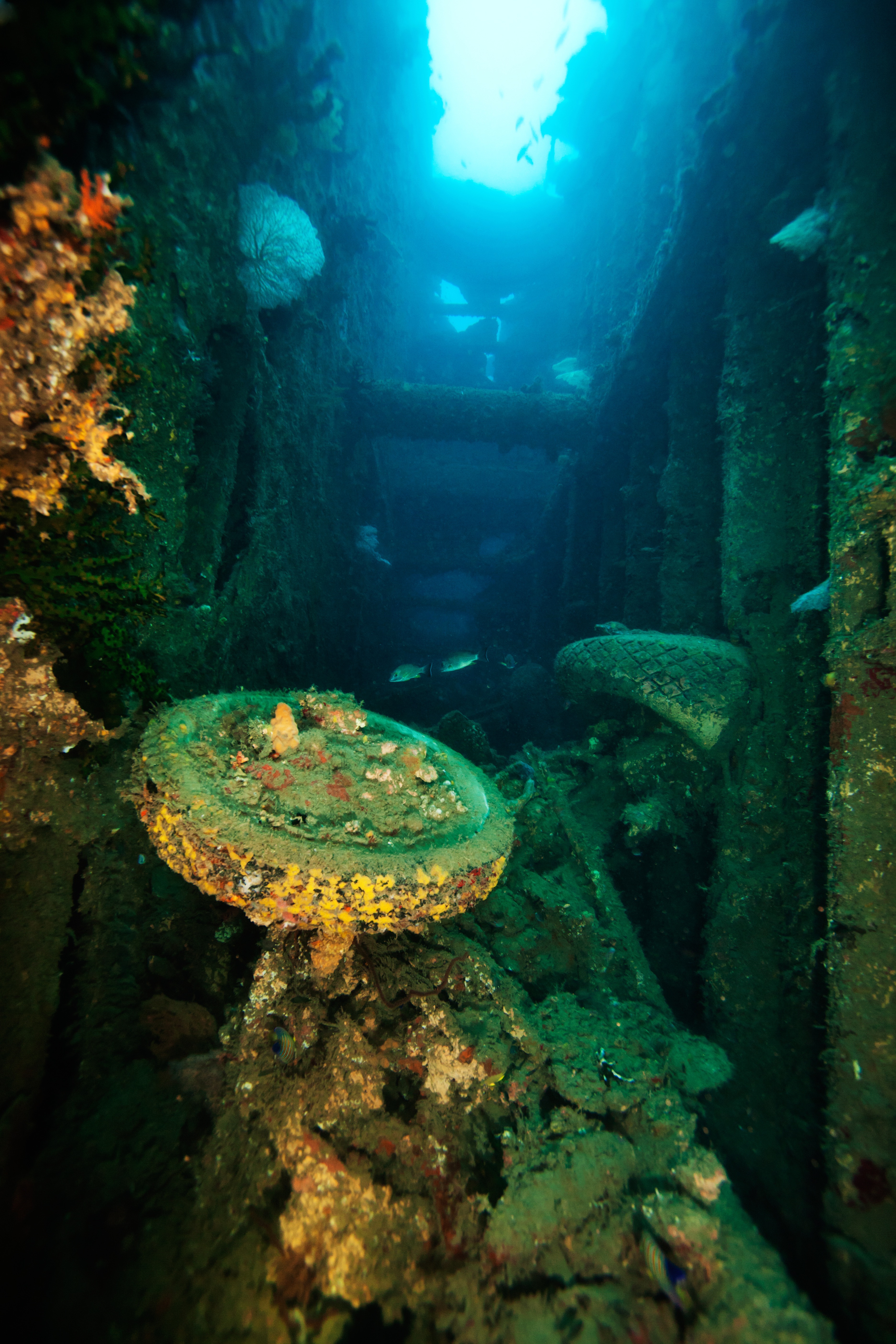 Diving the President Coolidge