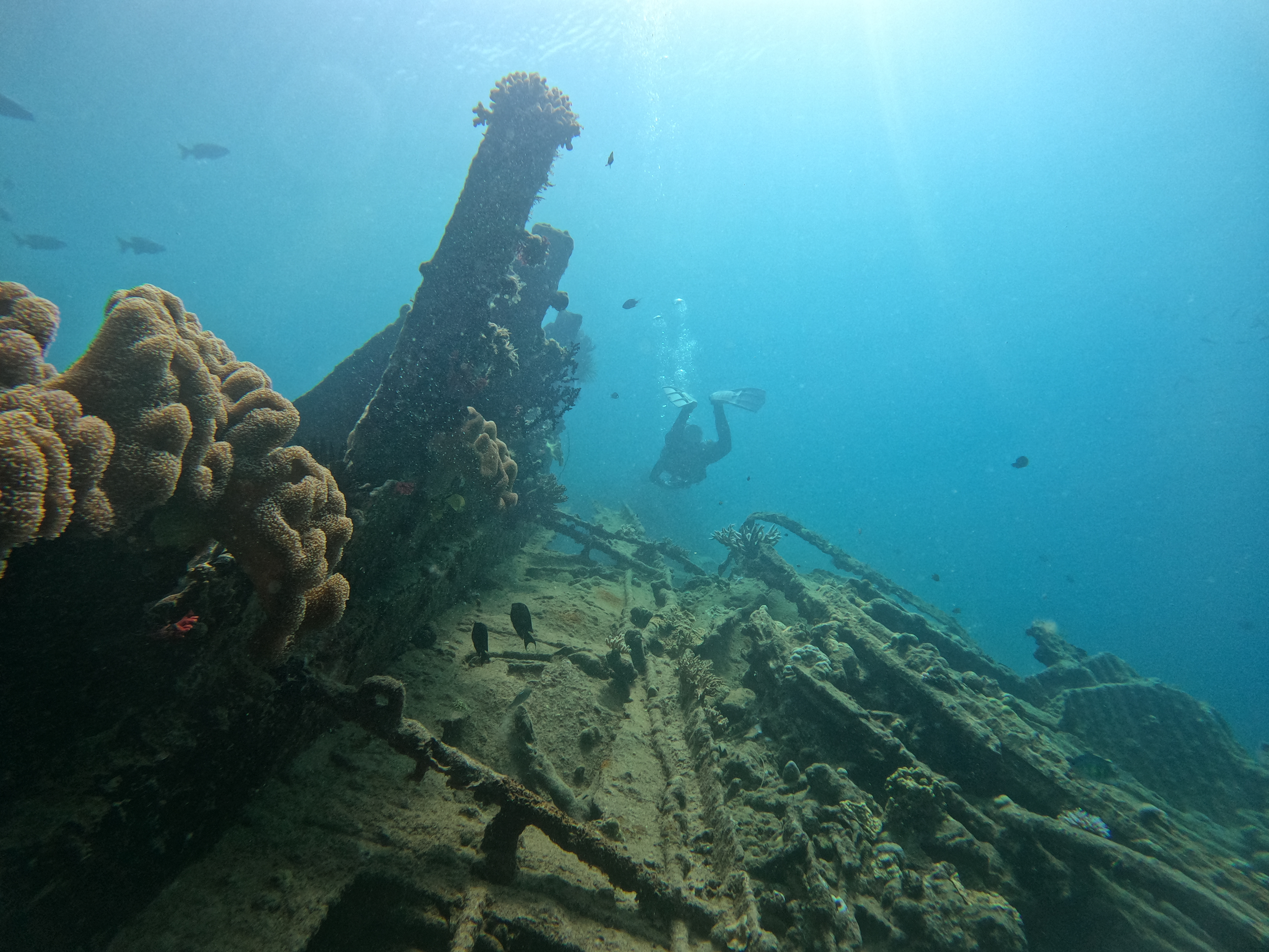 Diving the President Coolidge