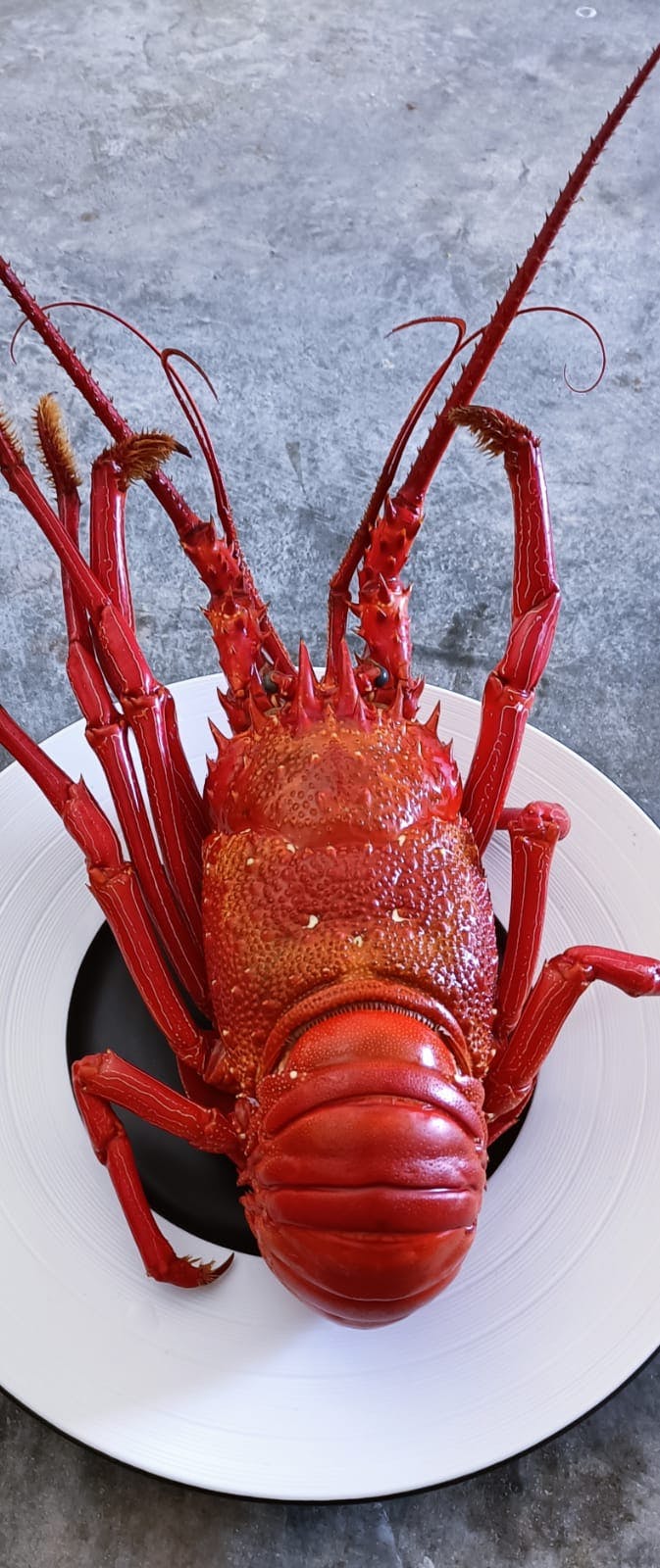 Bombua Beach House bombua-beach-house