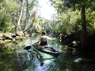 | Retreat at Crystal Manatee