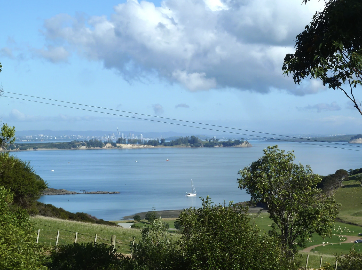 Day view from The Cabin