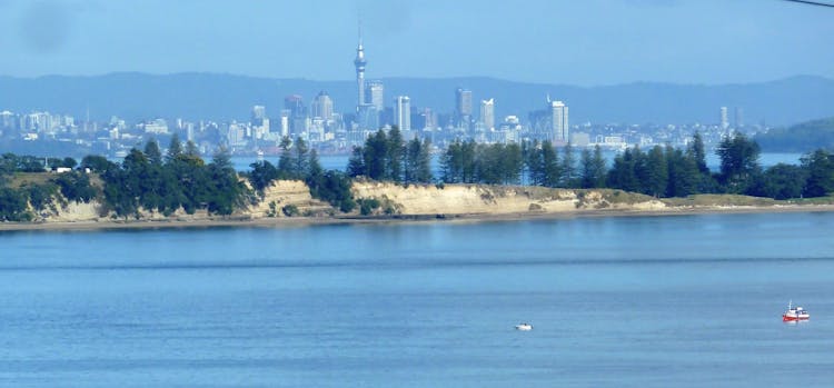 View of Auckland City from The Cabin