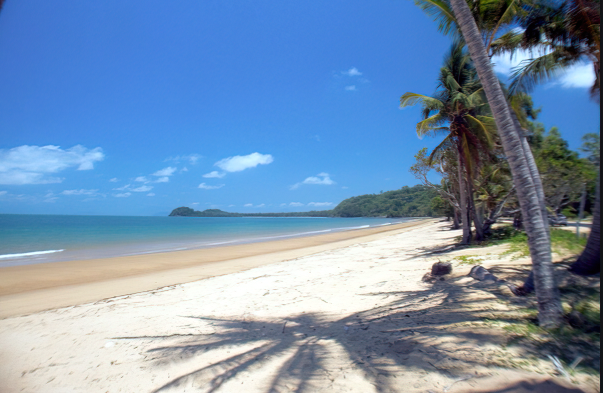 are dogs allowed on mission beach qld