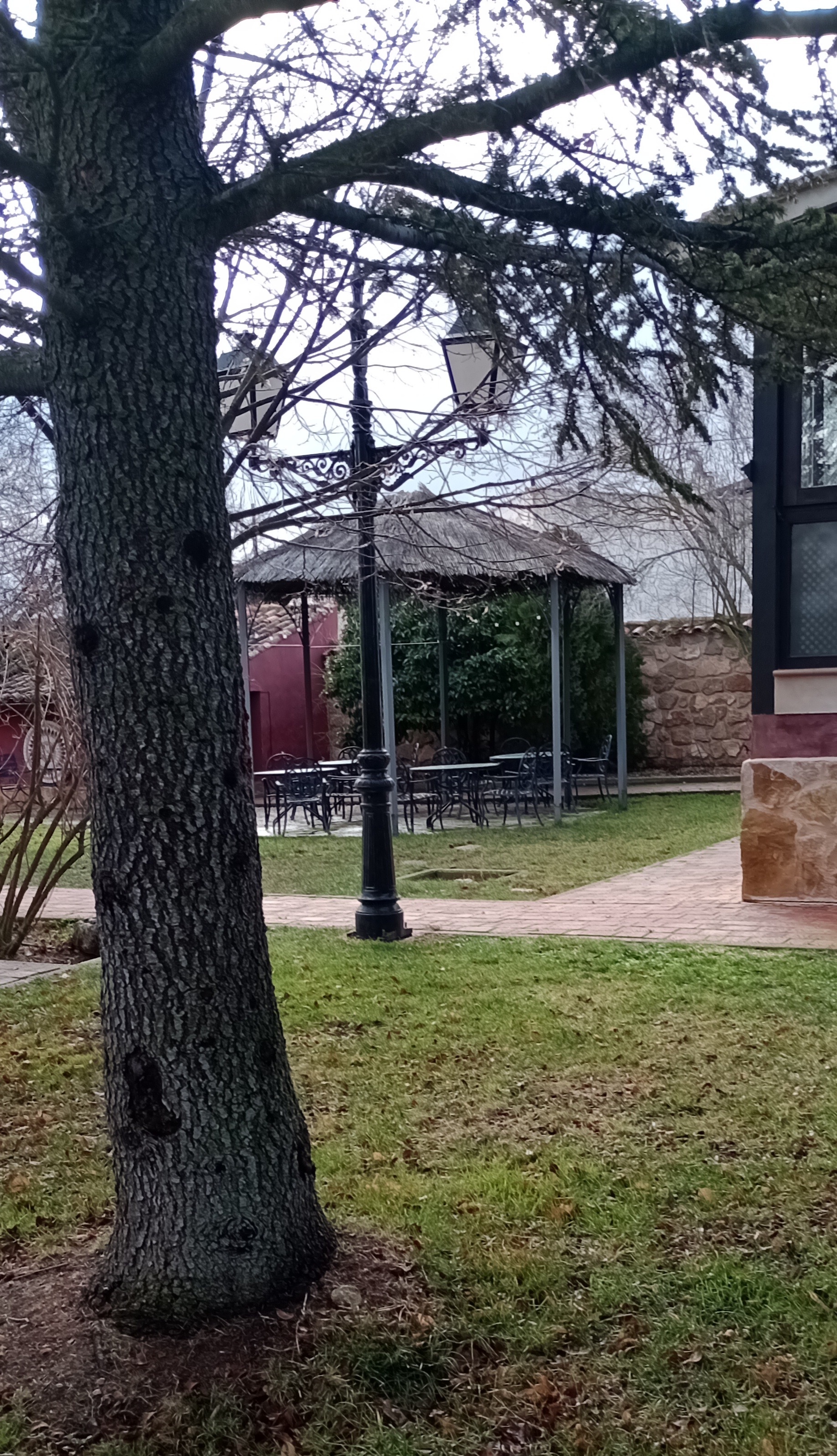 Vistas de la pérgola desde el jardín
