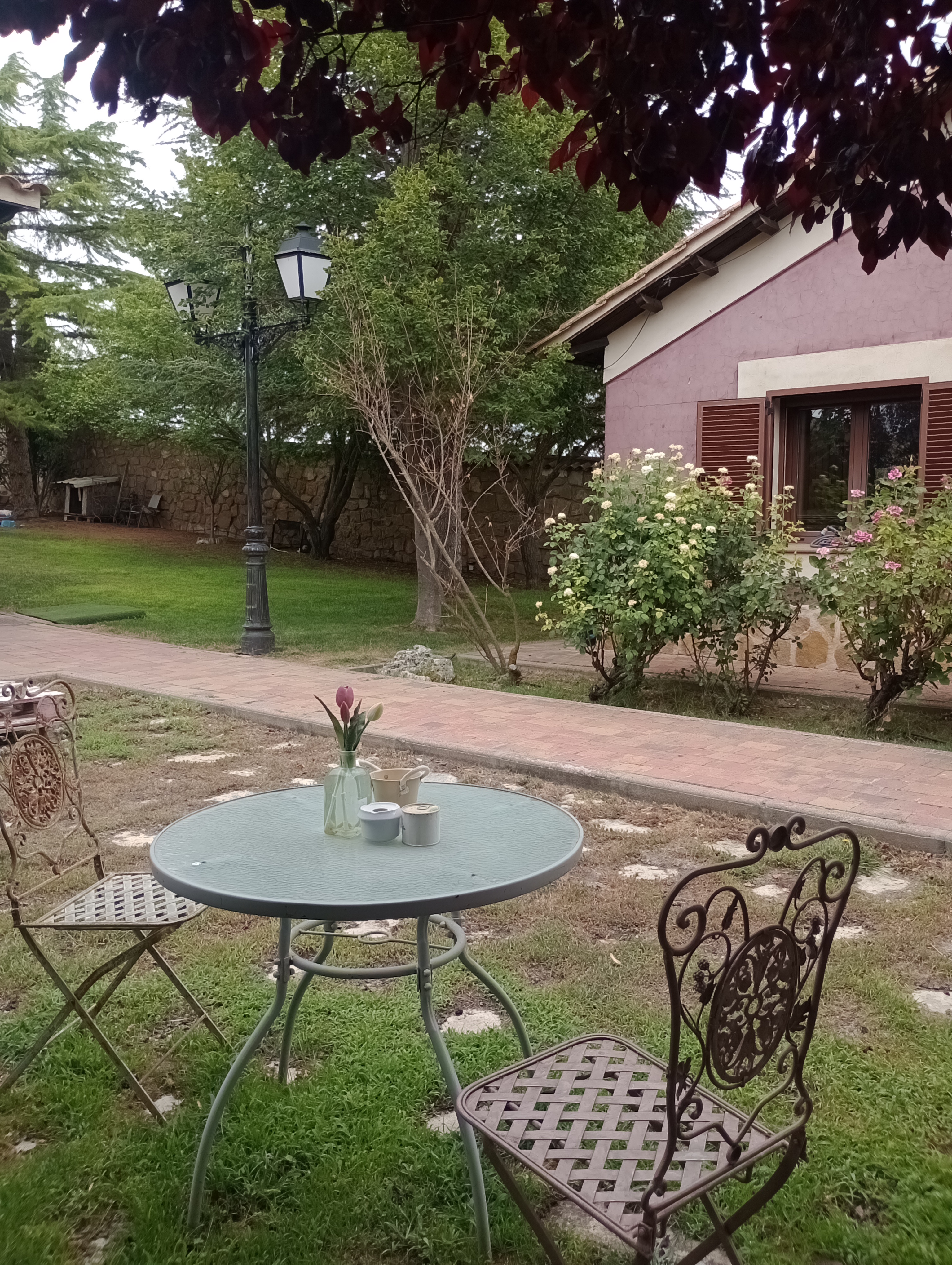 Jardín