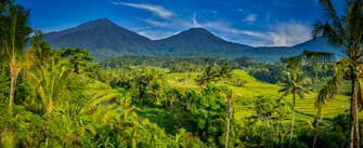 PRIVATE VILLAS OF BALI - Our Concierge will help you plan tours, excursions, activities, transport, massages, celebrations