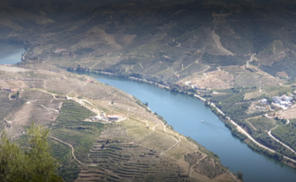 Douro Casa do Arco- Casa de Campo, Castro Daire, Portugal