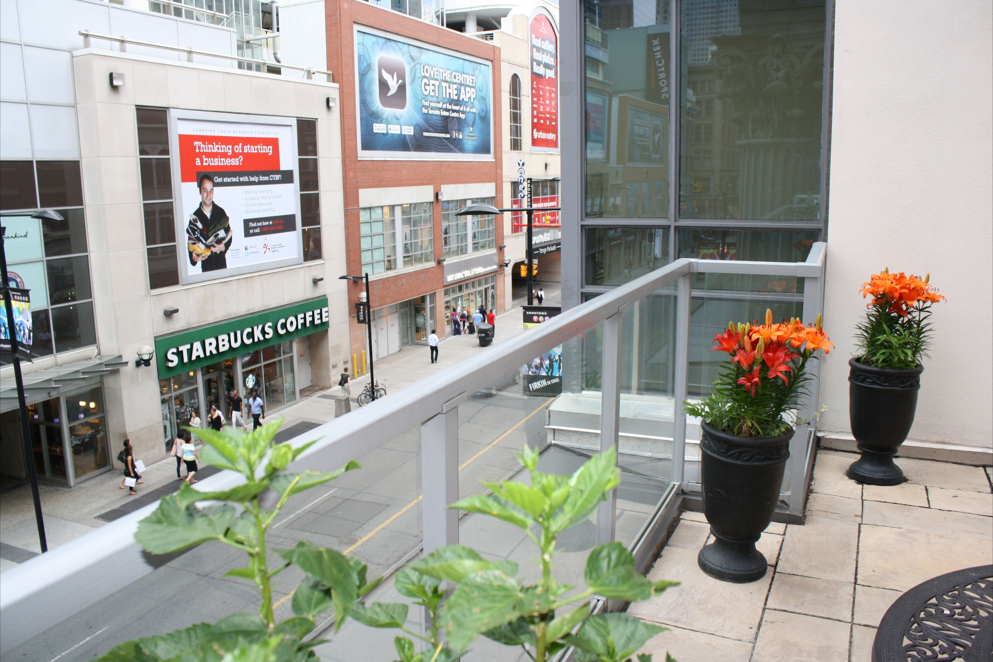 Yonge Suites Terrace