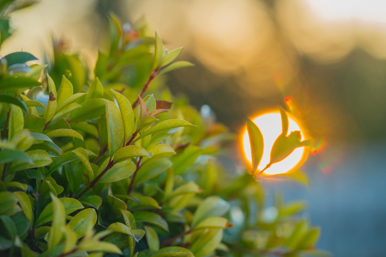 Portman House Scone Apartment