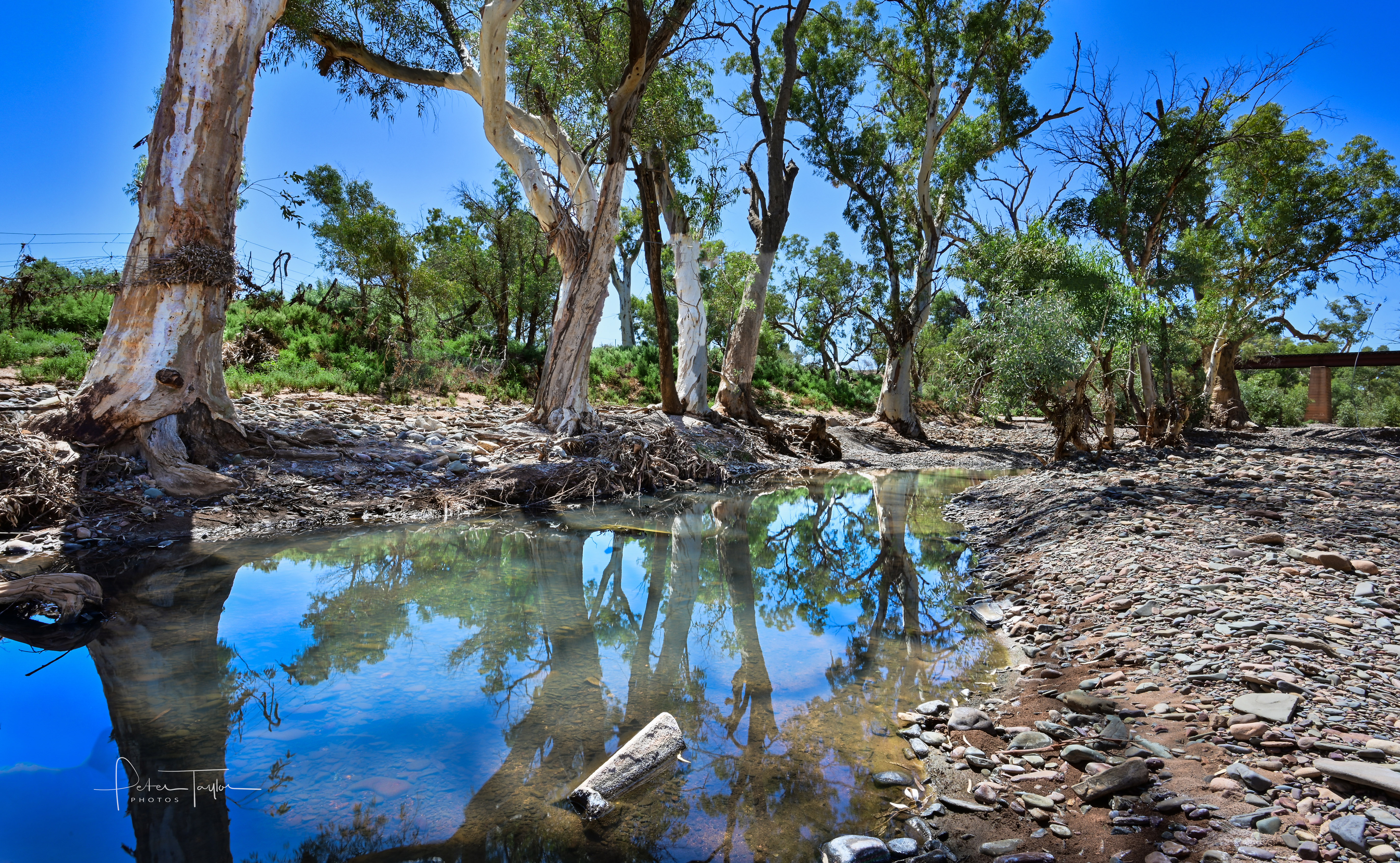 Home l Leigh Creek l Flinders Ranges Leigh Creek Outback Resort