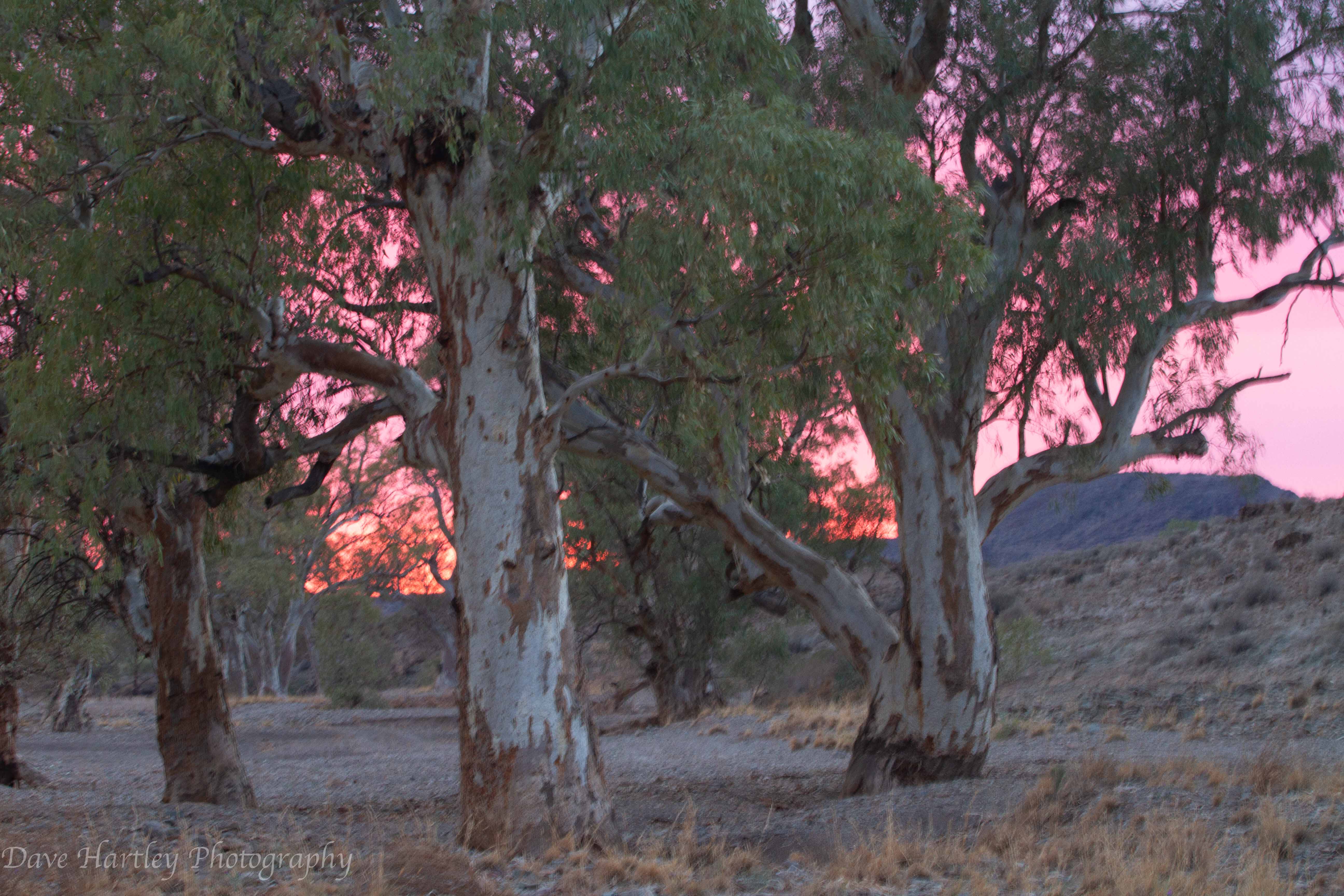 Home l Leigh Creek l Flinders Ranges Leigh Creek Outback Resort