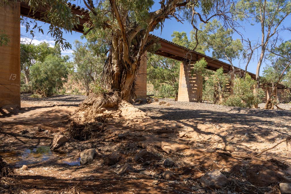 Home l Leigh Creek l Flinders Ranges Leigh Creek Outback Resort