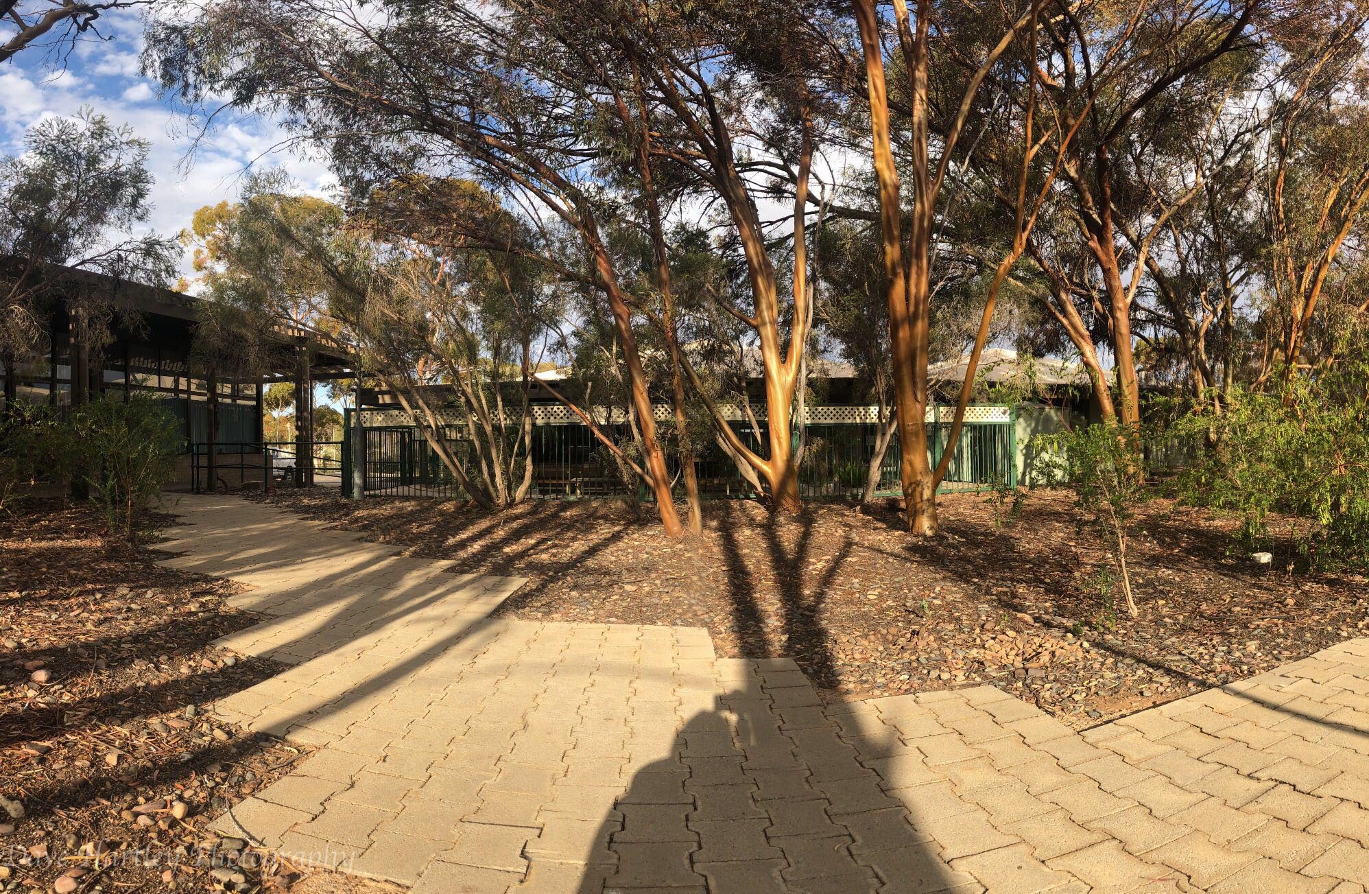 Gallery Leigh Creek Outback Resort