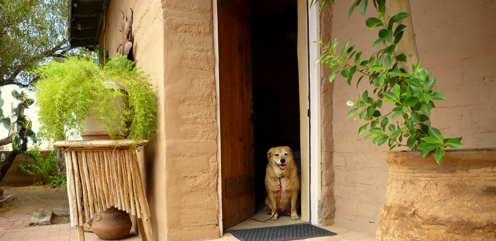 Home Rancho Sonora Inn & RV Park