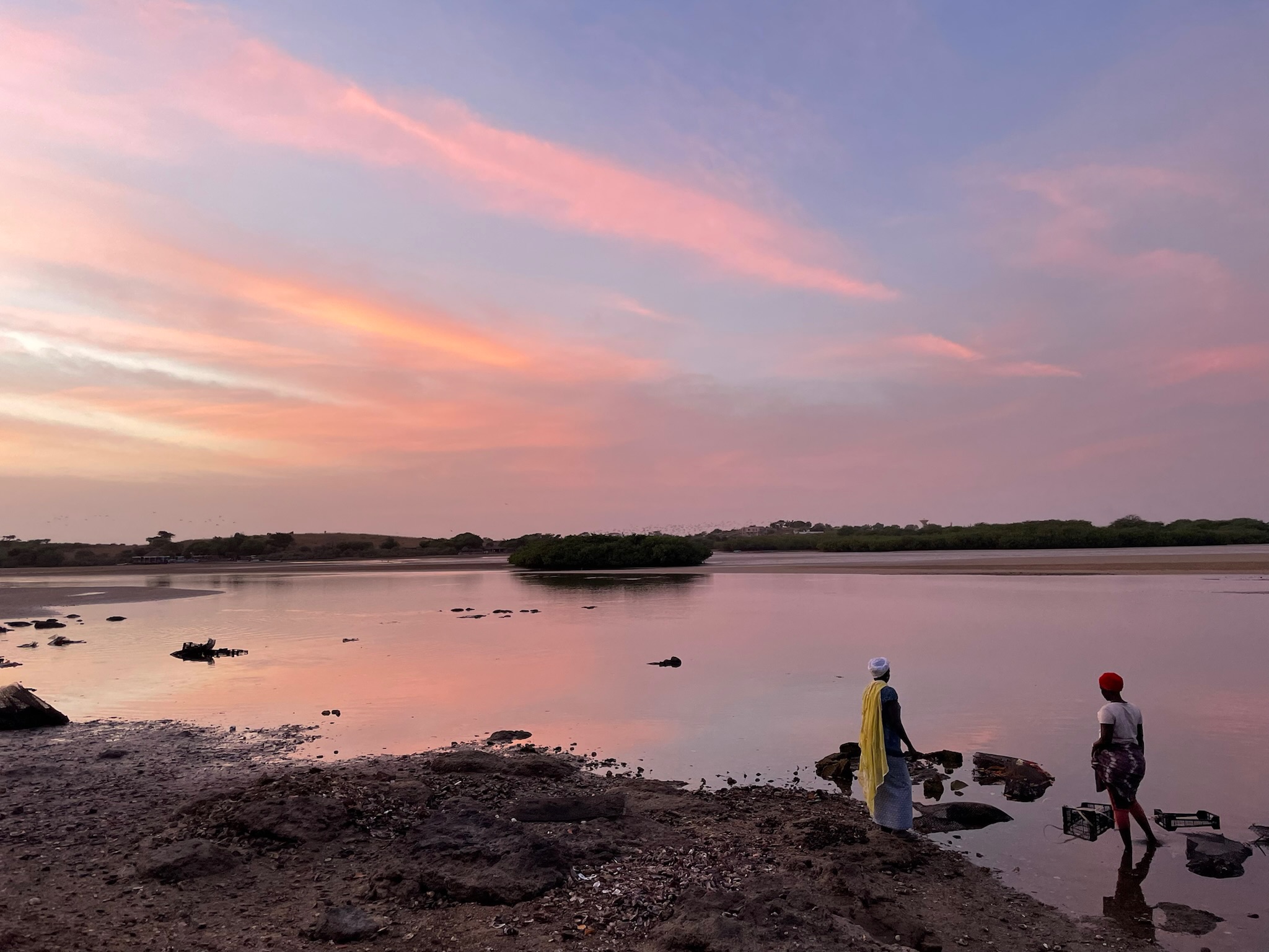 Lagune de la Somone, huîtres, oysters