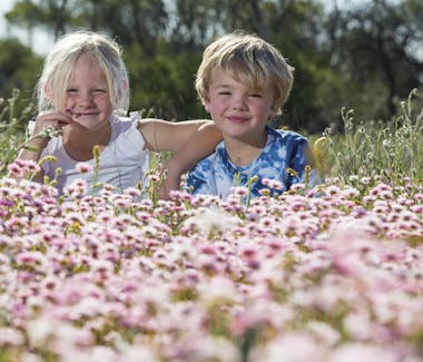"Two children sitting in a paddock of wildflowers"