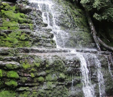 Adamson's Falls