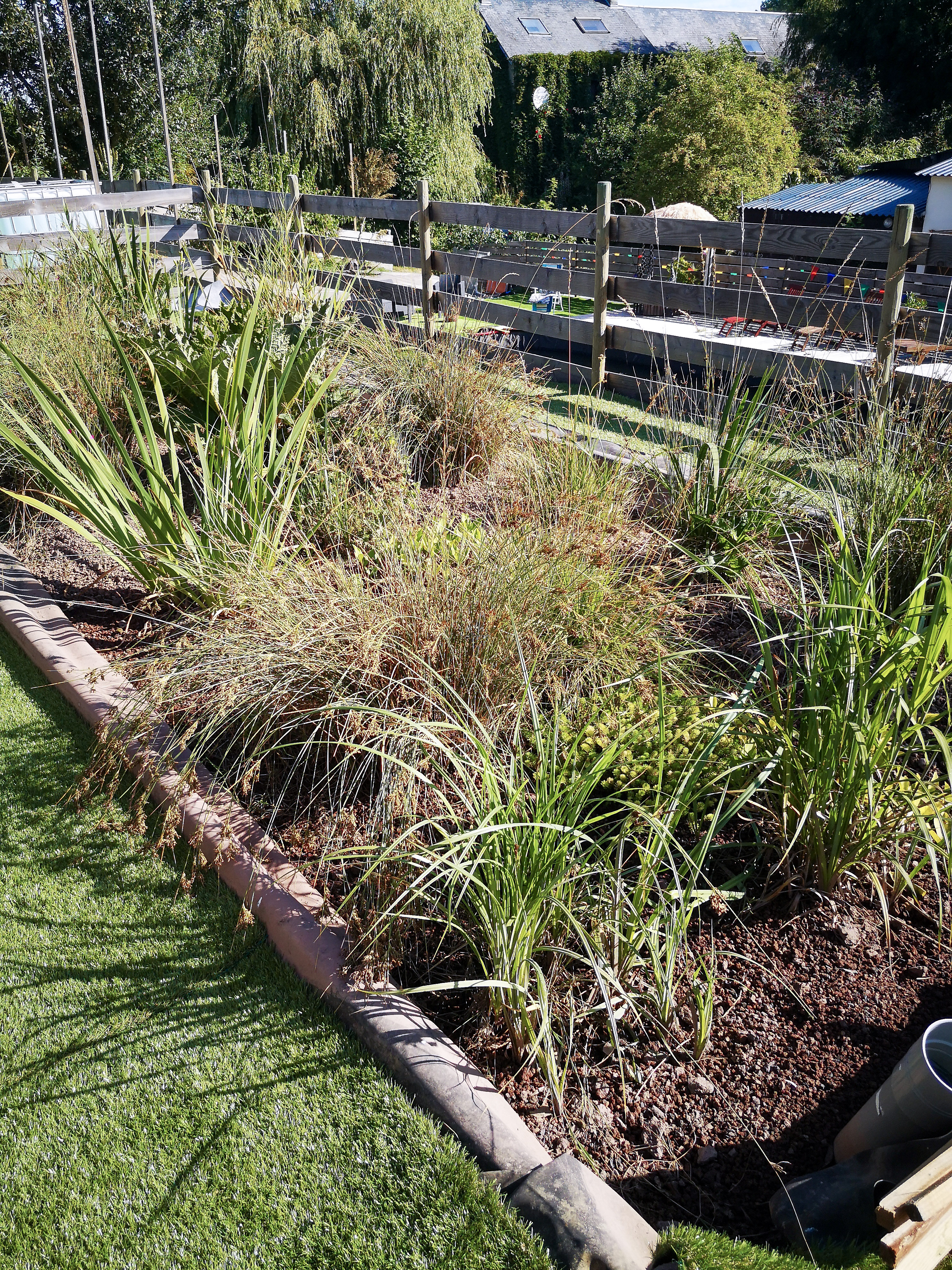 Au-Bonheur-Nomade Bassin naturel piscine naturelle vacances en famille en Normandie