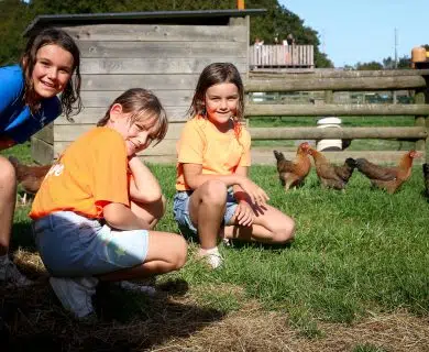 Bayeux Aventure - loisirs - mini-ferme - chèvres, moutons, cochons, lapins