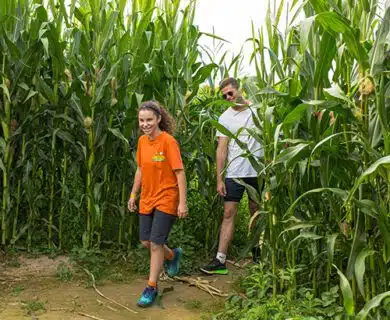 Bayeux Aventure - loisirs - labyrinthe de maïs