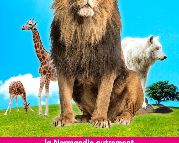 Affiche du Zoo de Jurques