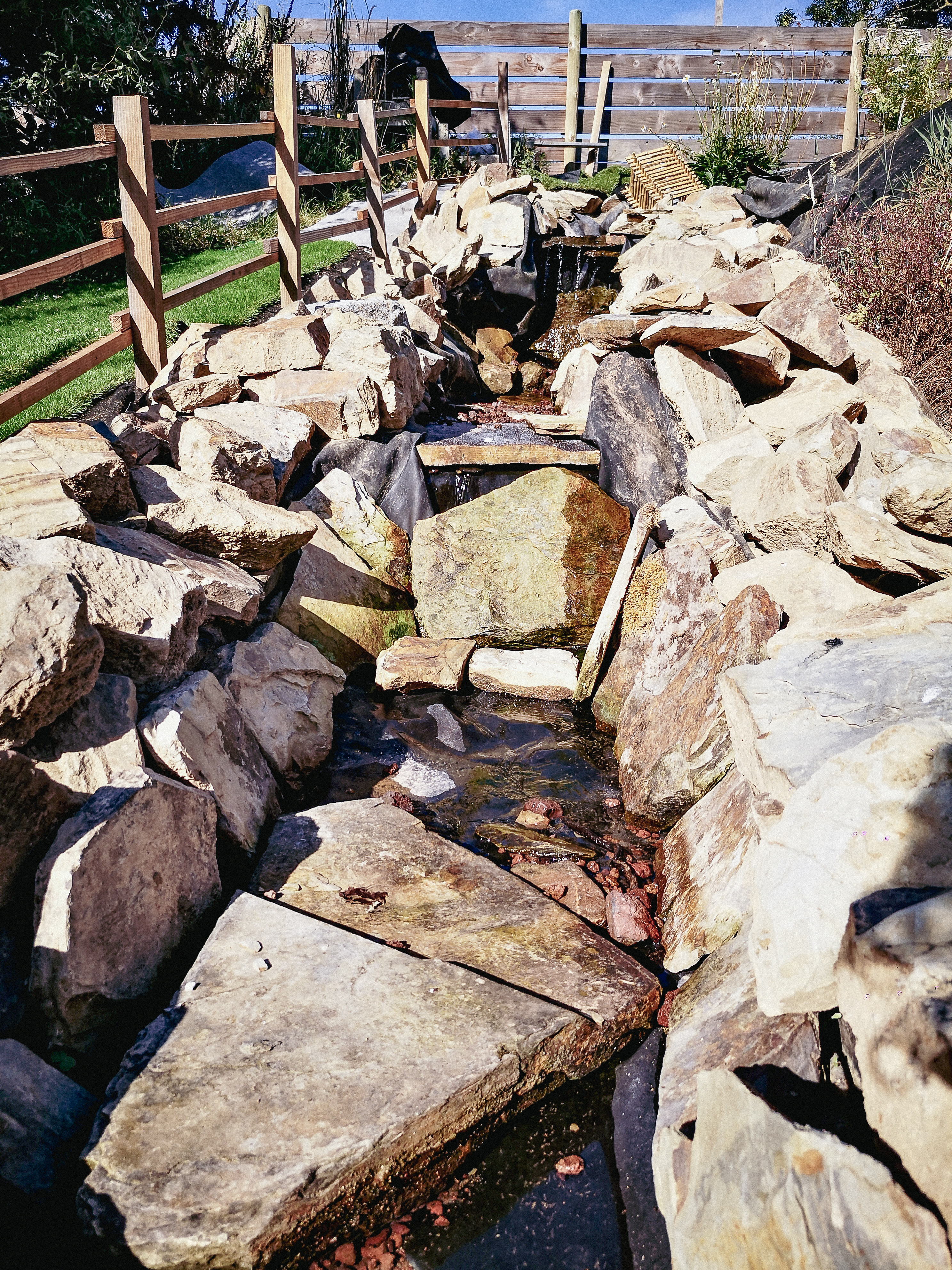 Au-Bonheur-Nomade Bassin naturel piscine naturelle vacances en famille en Normandie