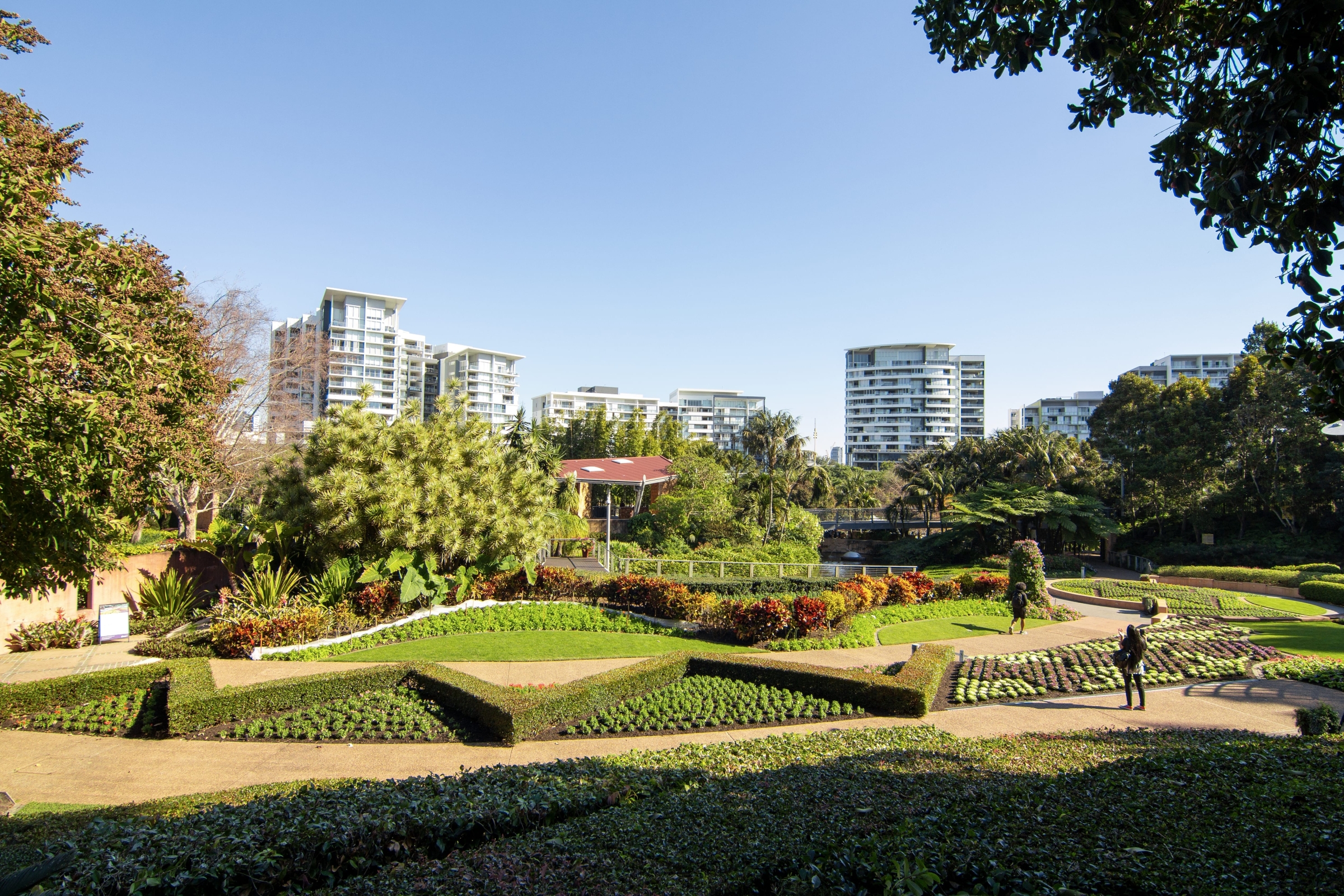 Roma Street Parkland in Brisbane, Queensland