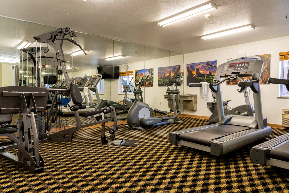 A gym with various exercise equipment including treadmills and weight machines.