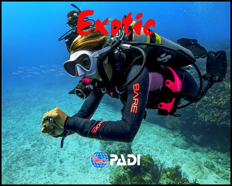 PADI Scuba Diving Course Dive Centre Resort Scuba Diver