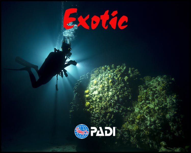 PADI Scuba Diving Course Dive Centre Resort Adventure Diver Advanced AOW