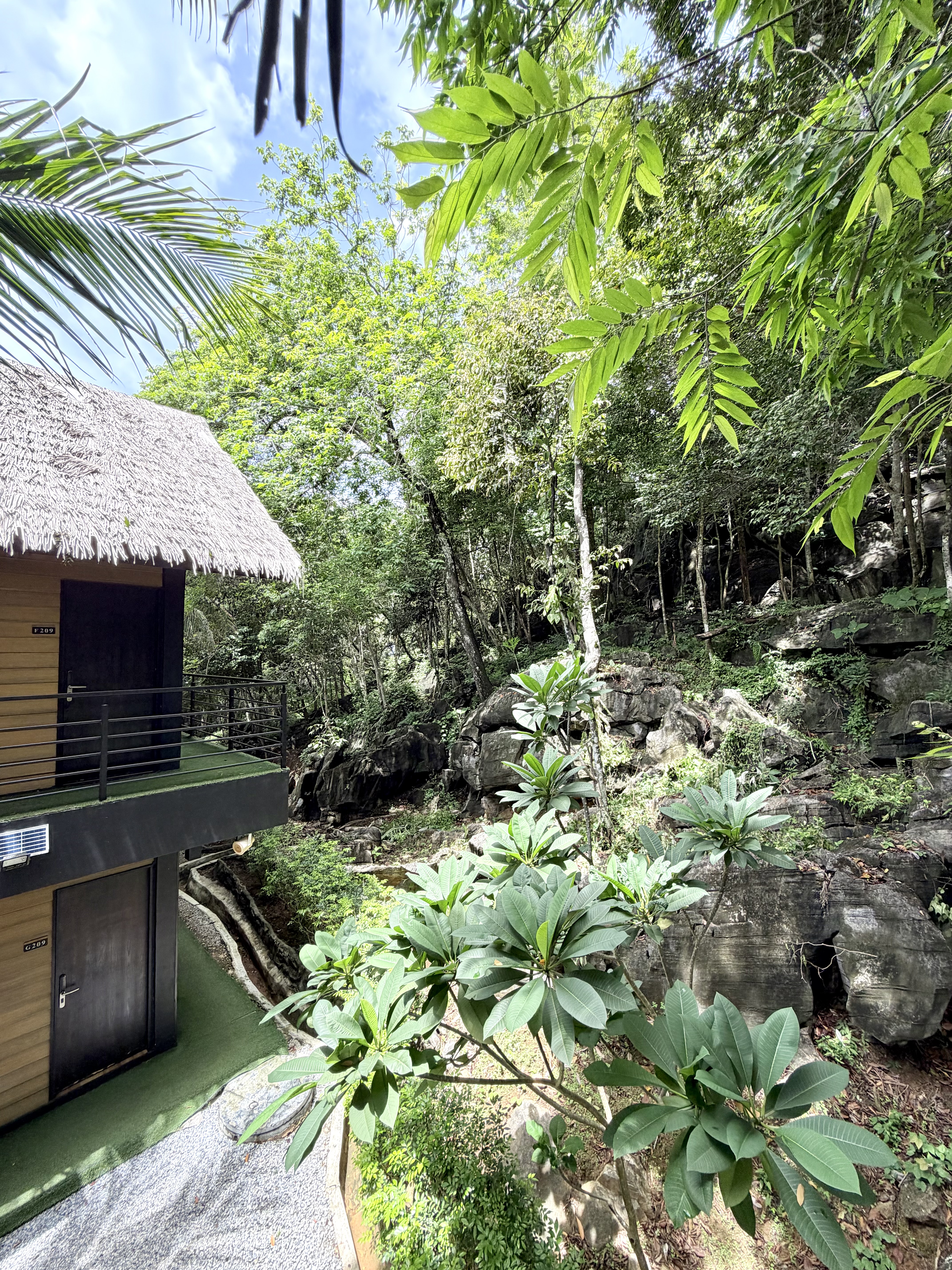 a_coral_reefs_resort_langkawi_nature_view