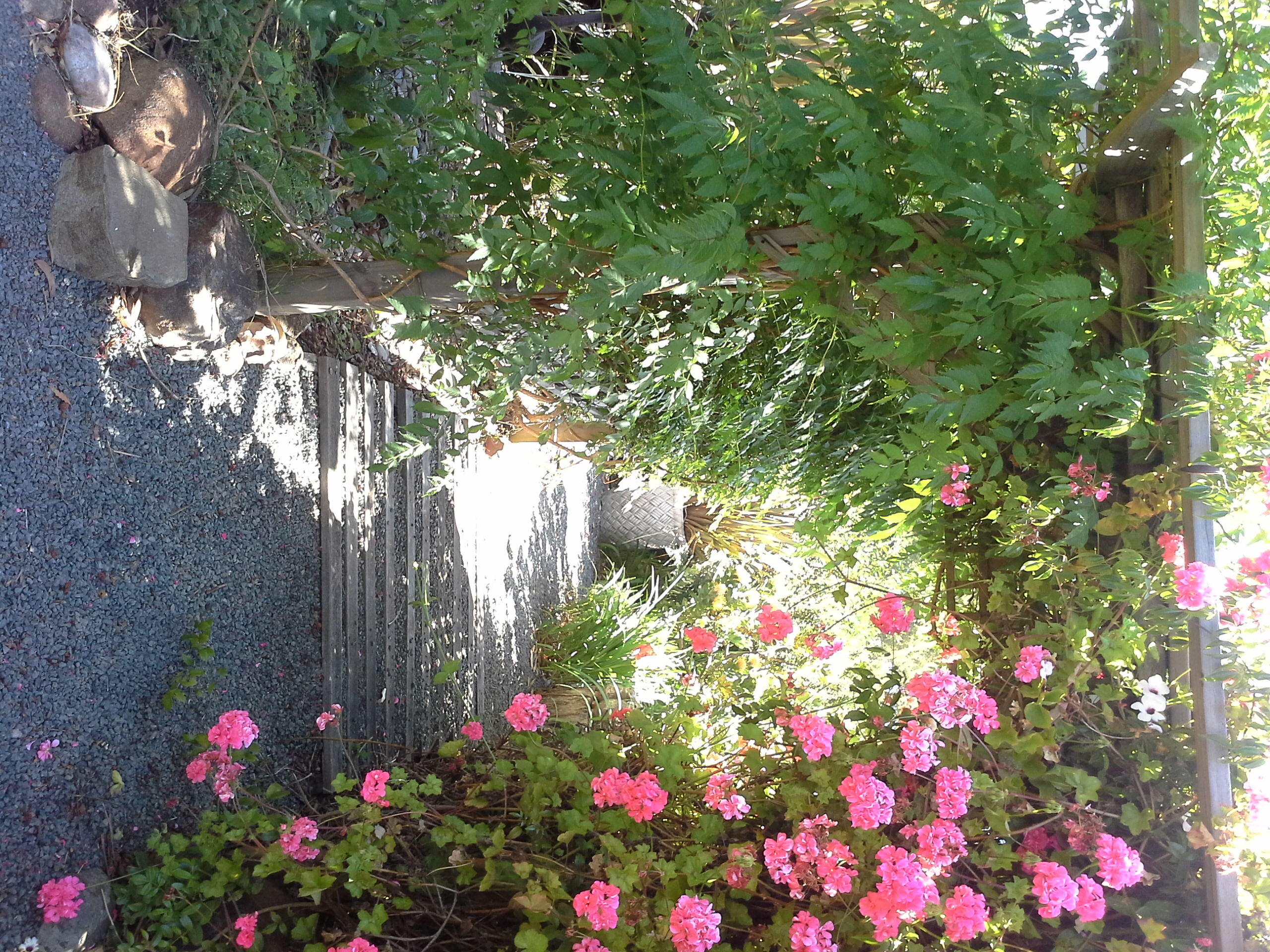 Park like gardens at Hillside Bed & Breakfast Huonville Tasmania hillsidebedandbreakfasthuonvalley.com