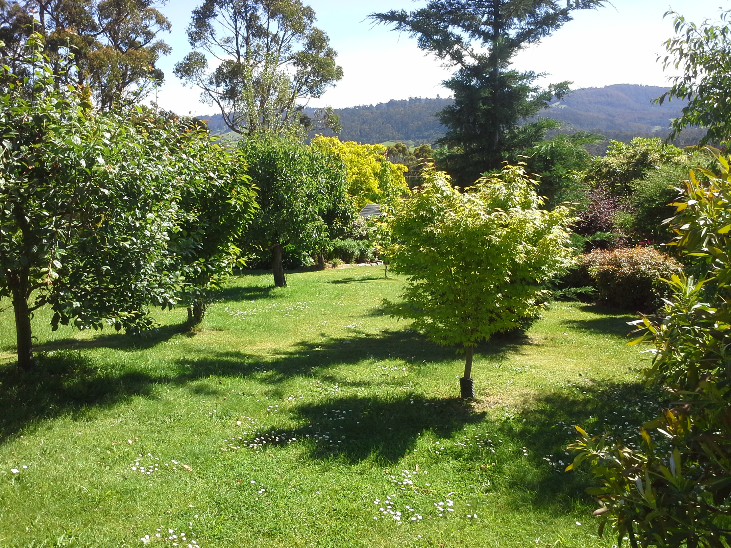 The park like gardens at Hillside Bed & Breakfast Huonville Tasmania hillsidebedandbreakfasthuonvalley.com