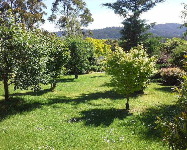 The park like gardens at Hillside Bed & Breakfast Huonville Tasmania hillsidebedandbreakfasthuonvalley.com