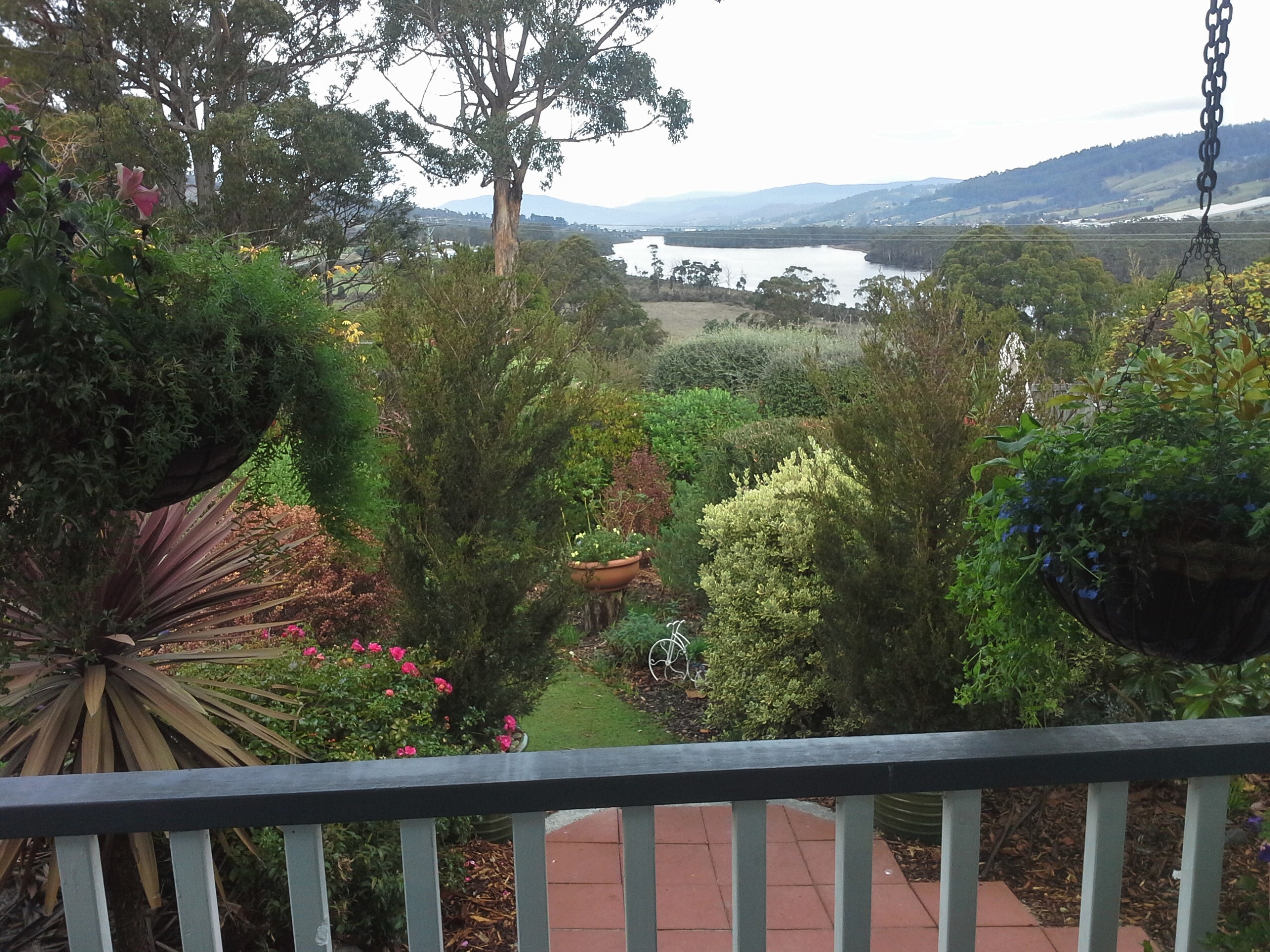 View from the Terrace Room