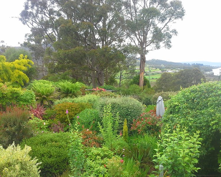 Garden Views and Huon Valley beyond at Hillside Be & Breakfast, Huonville Tasmania hillsidebedandbreakfasthuonvalley.com