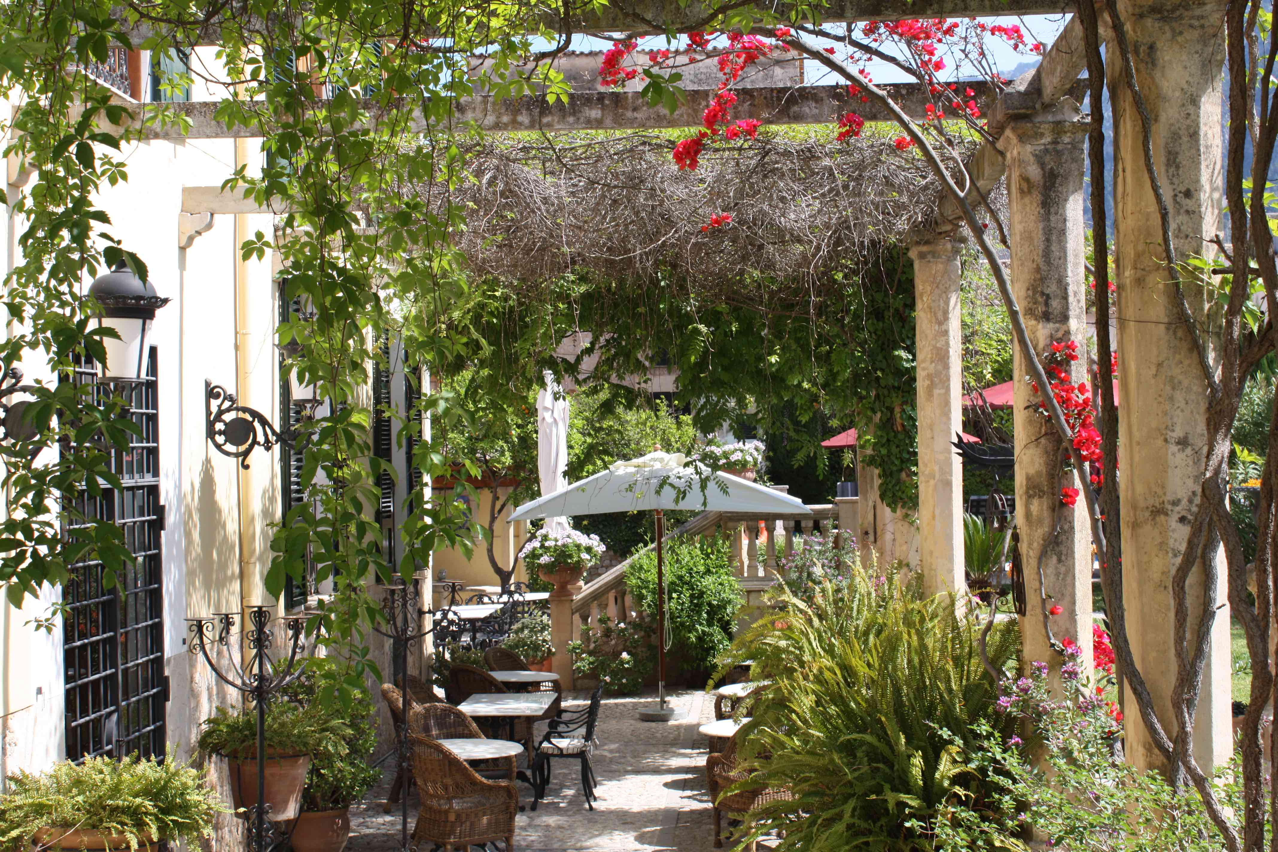 A view across the shaded dining terrace at Salvia