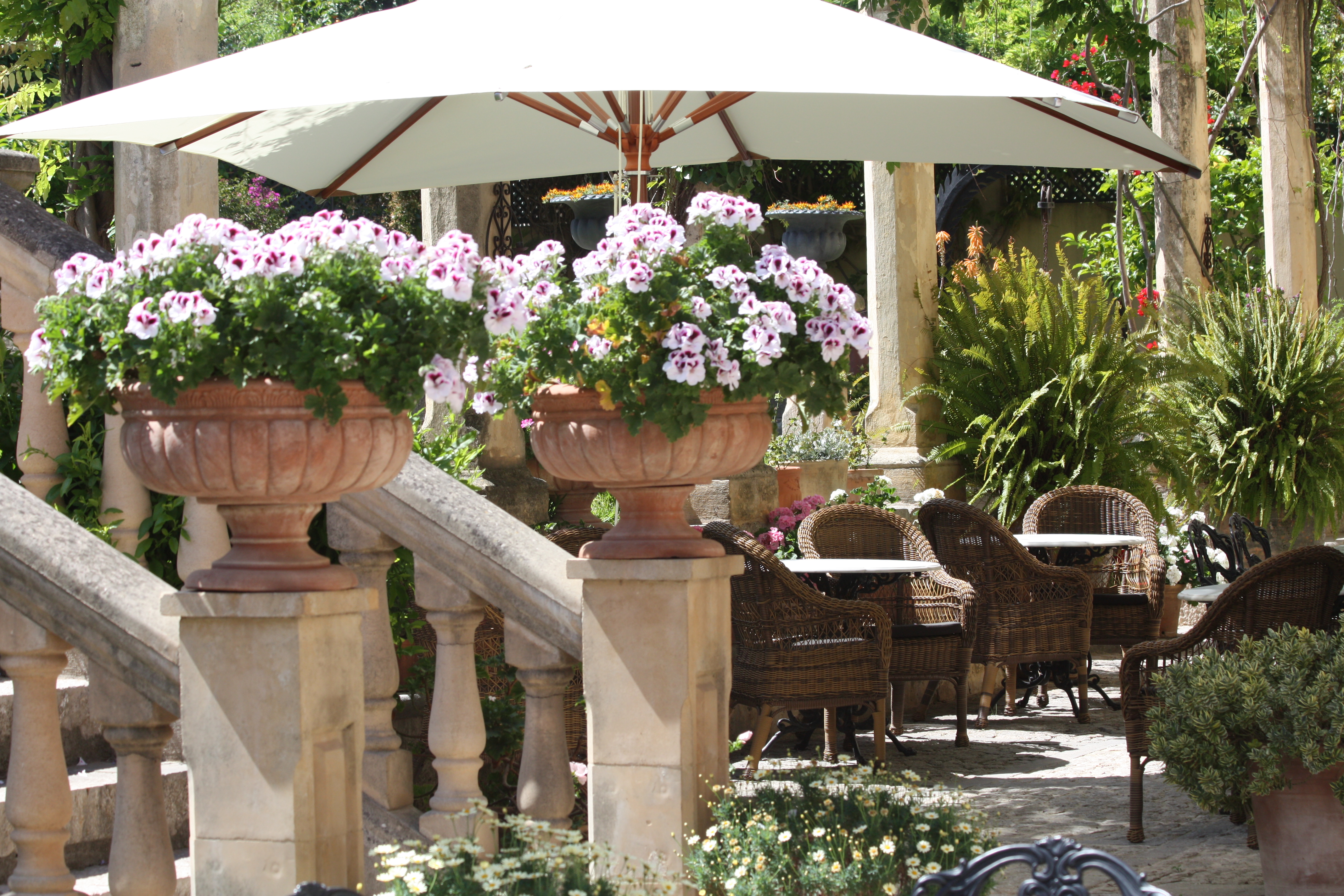 A view across the flowers in the Salvia dining terrace