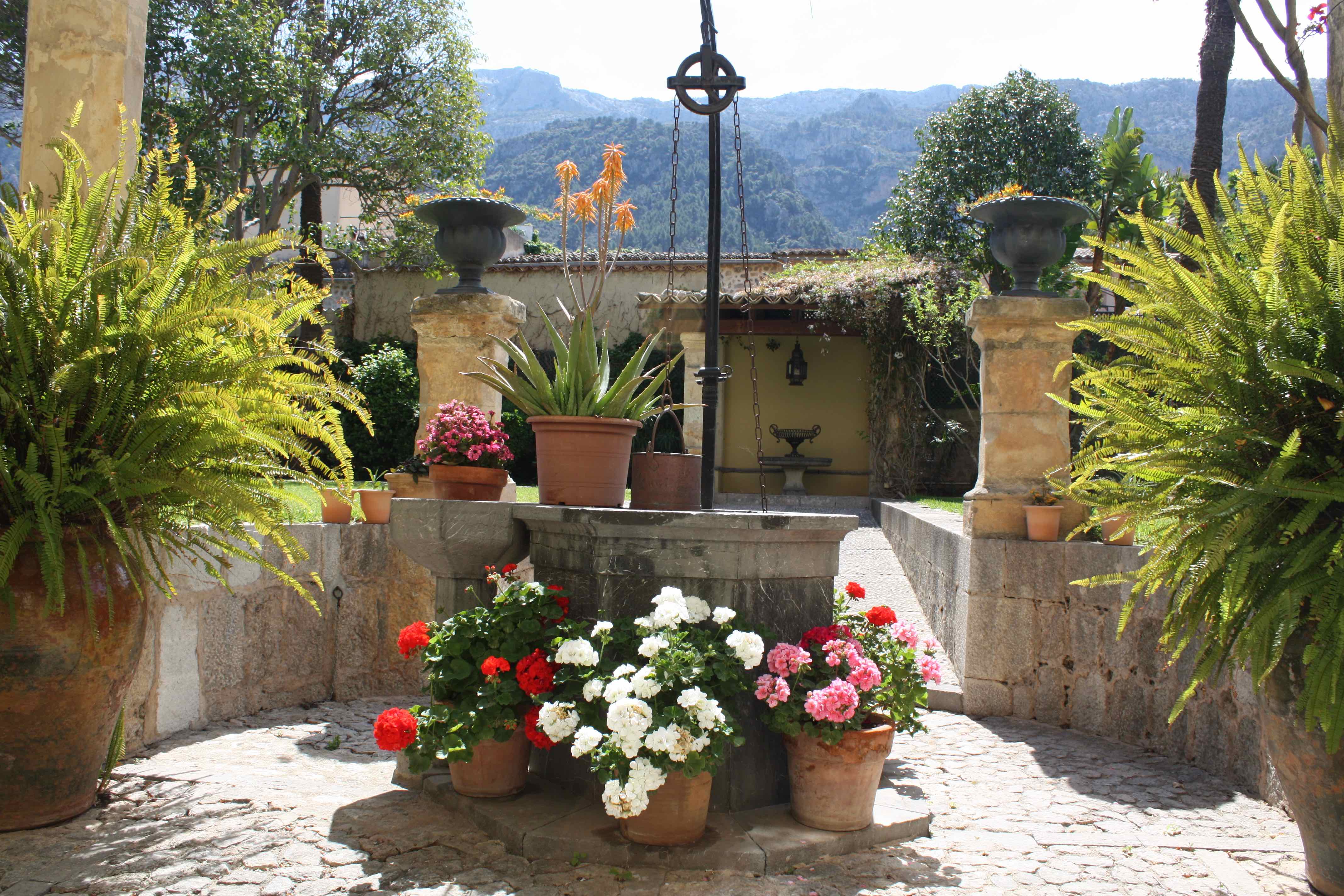 The Salvia water well surrounded by flowers in May.