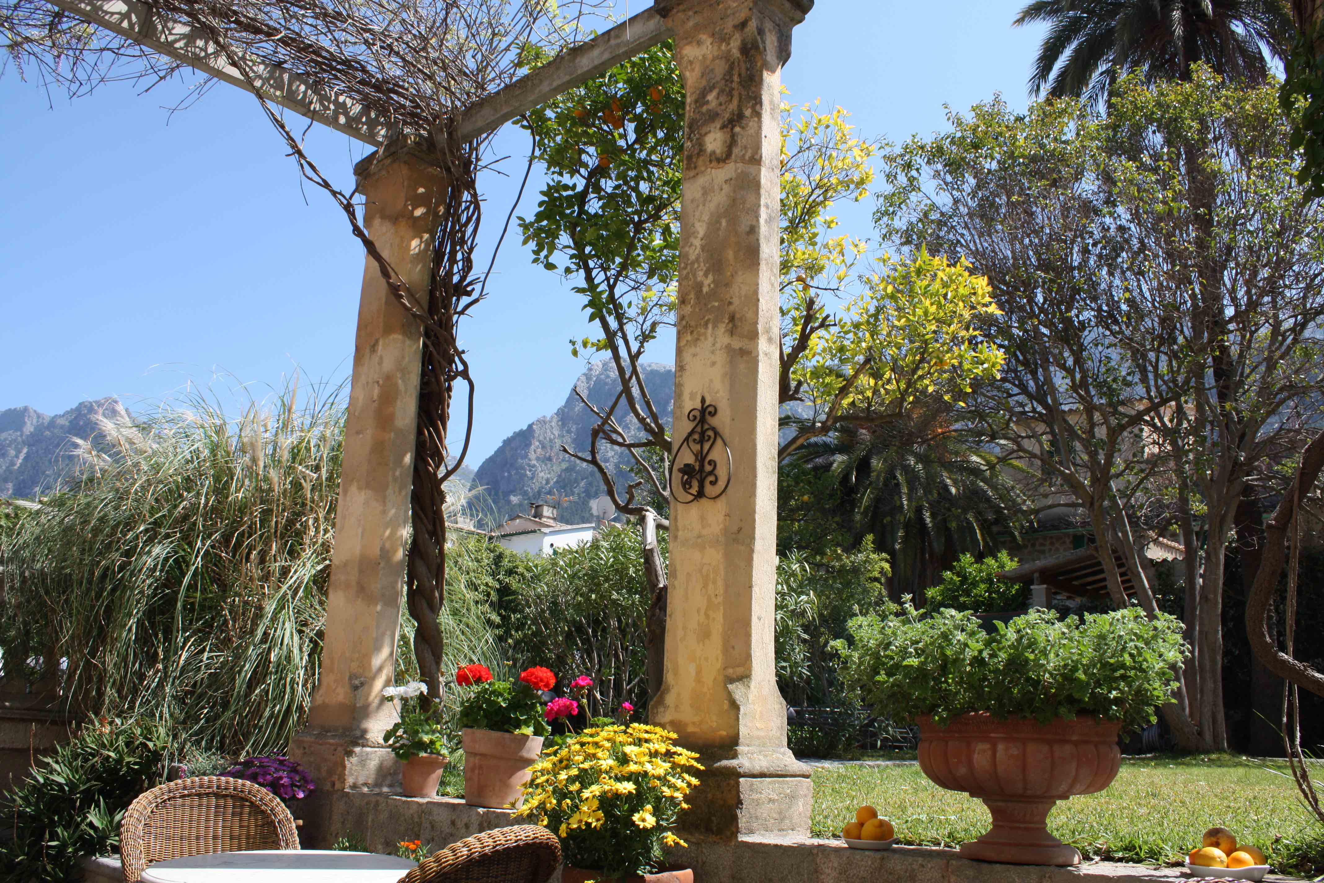 Flowering on the dining terrace at Salvia with a clear blue sky