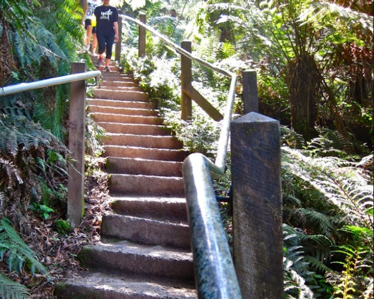 1000 Steps/Kokoda Trail