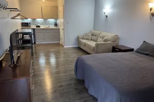 DELUXE QUEEN W/ FULL PULL OUT